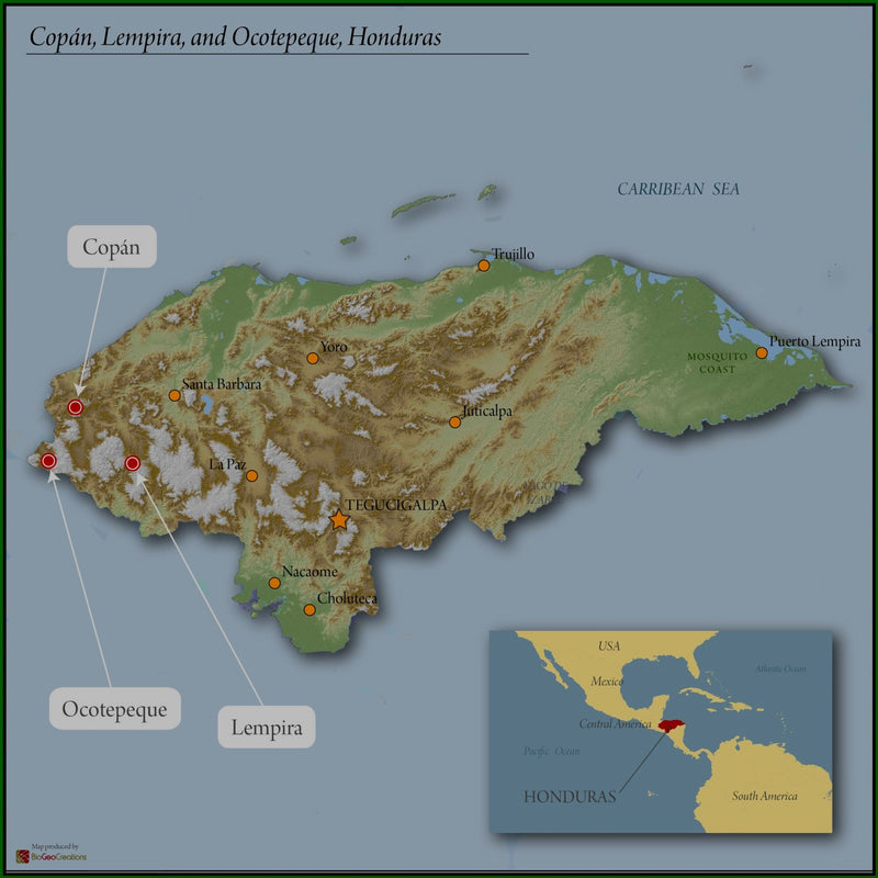 HONDURAS FT-USA ORGANIC COPAN CAFESCOR SHG EP - 34161-2 - GrainPro Bags - SPOT DUPUYHOU
