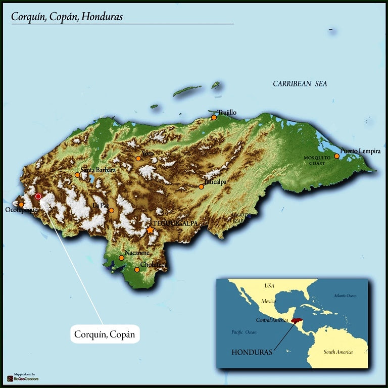 DECAF HONDURAS FT-FLO ORGANIC COPAN ROYAL SELECT WATER PROCESS - 42005 - March 2027 Delivery - RCWHSE