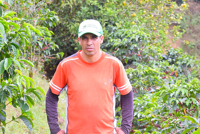 Costa Rica Don Claudio Natural Caturra Catuai SHB EP - 30594 - GrainPro Bags - SPOT RCWHSE
