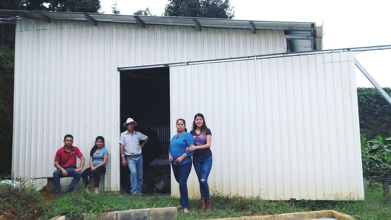 Costa Rica Tarrazu La Esperanza Estate Familia Monge Natural - 30587-2 - GrainPro Bags - SPOT SEAFORTH