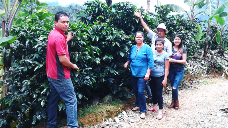 Costa Rica Tarrazu La Esperanza Estate Familia Monge Natural - 42038 - GrainPro Bags - April 2027 Shipment - RCWHSE