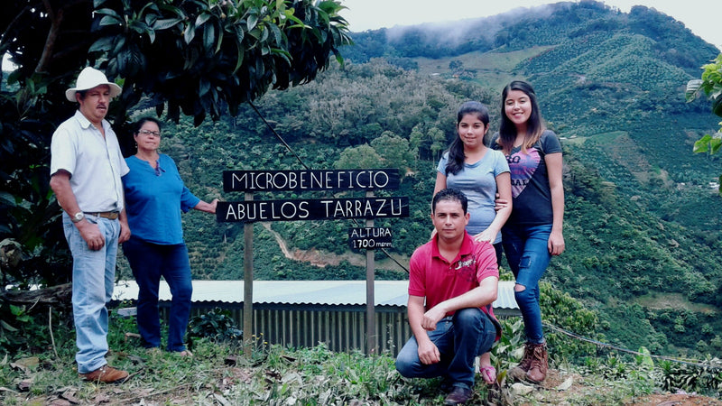 Costa Rica Tarrazu La Esperanza Estate Familia Monge Natural - 30587-2 - GrainPro Bags - SPOT SEAFORTH