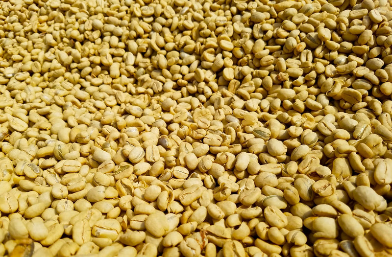 Colombia Huila Supremo 17/18 - *48532C* - 25328 - 69.8 kg GrainPro Bags - SPOT SHANGHAI
