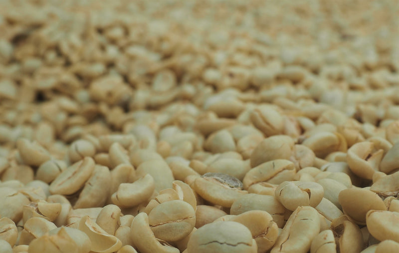 Costa Rica La Luisa Estate SHB EP - *48926* - 24993 - GrainPro Bags - SPOT RCWHSE