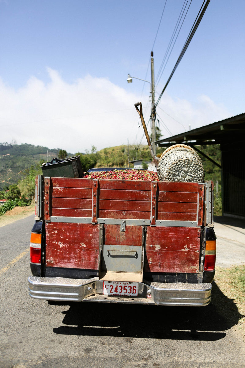 Costa Rica La Palma SHB EP - 34628 - SPOT RCWHSE