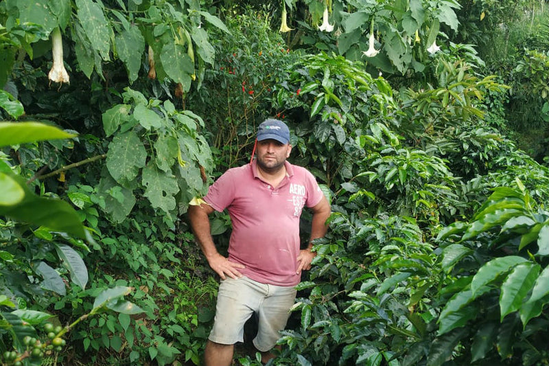 Costa Rica Olman Vargas Natural - 42043 - GrainPro Bags - April 2027 Shipment - RCWHSE