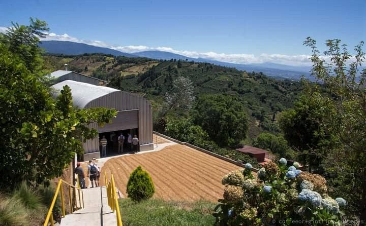 Costa Rica Vista Al Valle Black Honey Villa Sarchi - *50806C* - 26213 - 30.0 kg Box/Vacuum Pack - SPOT SHANGHAI