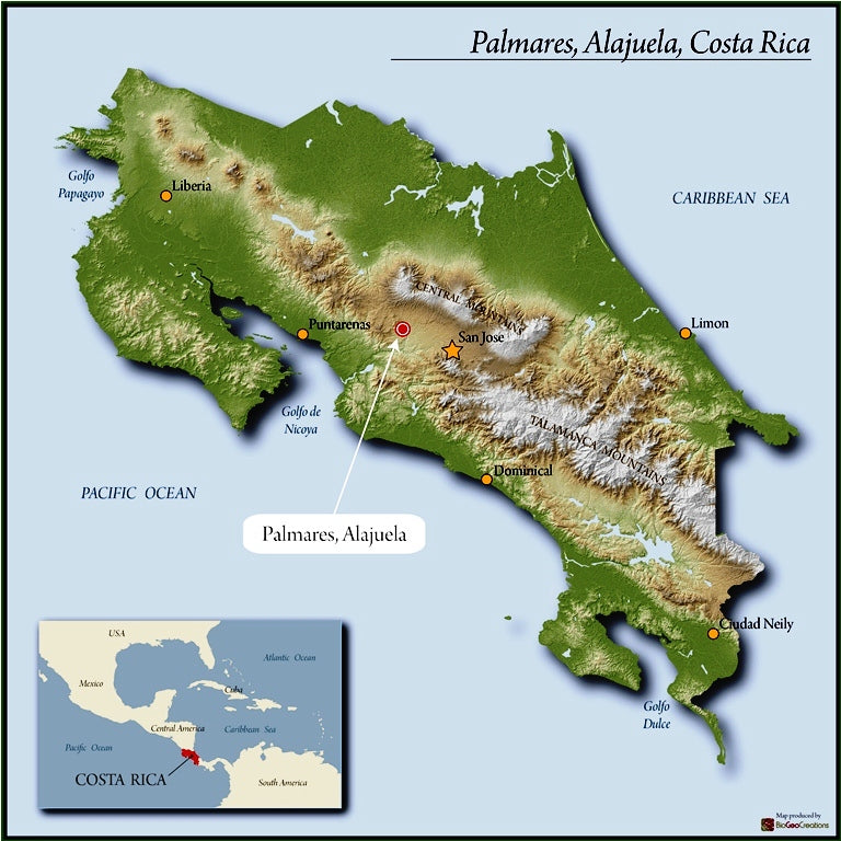 Costa Rica West Valley Monte Crisol SHB EP - *50878* - 24489-1 - SPOT COSEATAC