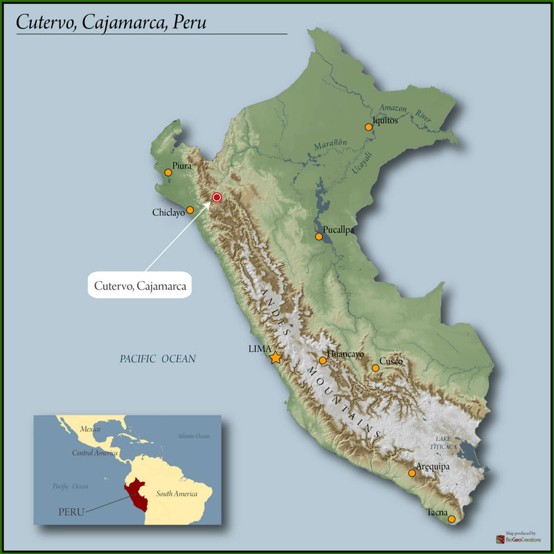 PERU ORGANIC SANTA TERESA ISMERIA LEON - 29913 - GrainPro Bags - SPOT RCWHSE