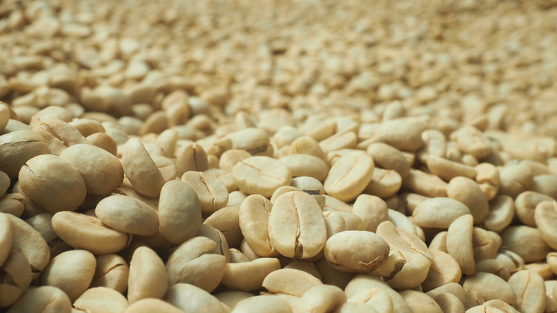 Decaf Sumatra Royal Select Swiss Water Process - 31820-2 - SPOT COSEATAC