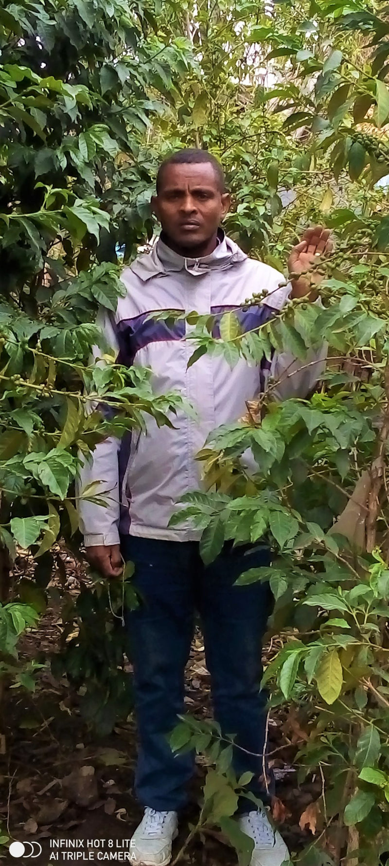 Ethiopia Sidama 1 Natural Chire Kumburta Daniel Tunsisa - 28447 - GrainPro Bags - SPOT RCWHSE