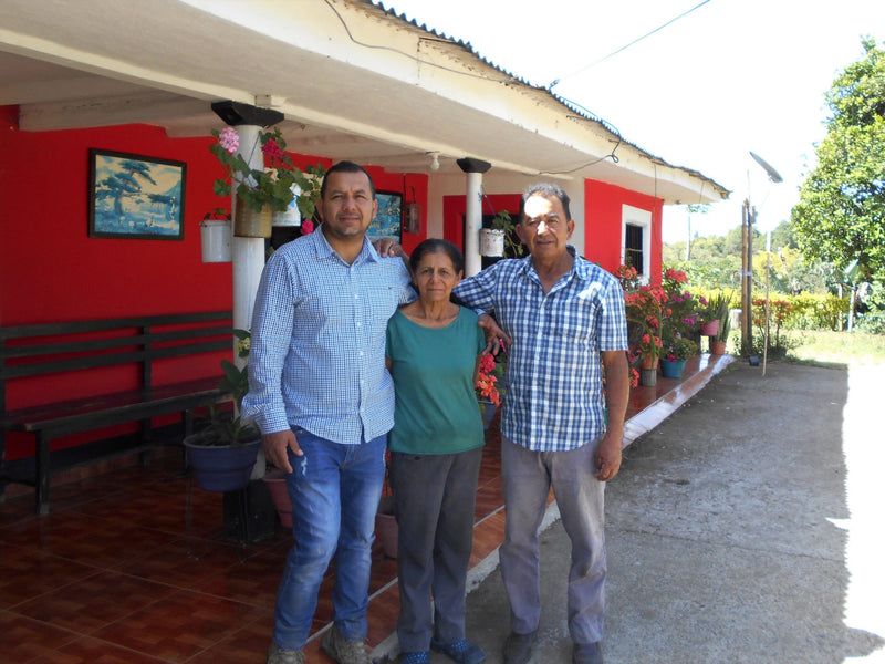 Colombia Cauca Piendamo A - *51426* - 24958 - GrainPro Bags - SPOT RCWHSE