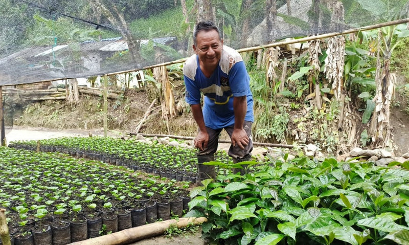 Colombia Narino Tropico Sur - 29720 - 69.9 kg GrainPro Bags - SPOT RCWHSE