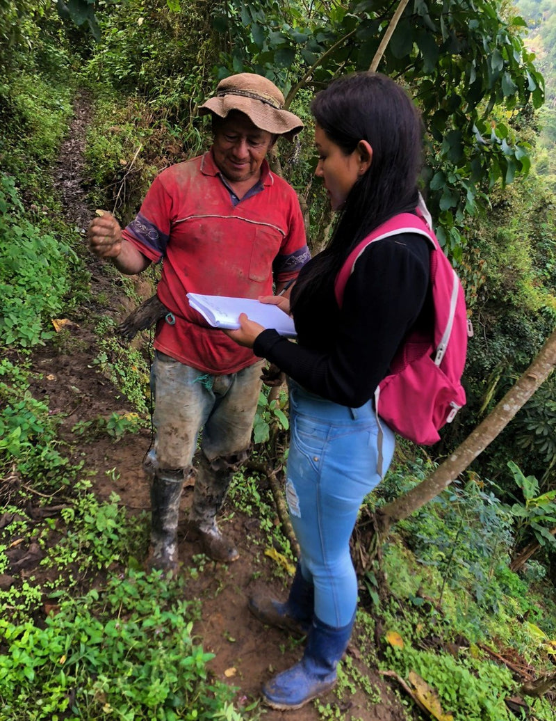 Colombia Narino Tropico Sur - 29720 - 69.9 kg GrainPro Bags - SPOT RCWHSE