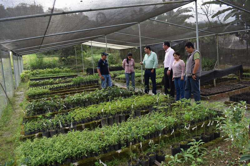 ECUADOR ORGANIC ZAMORA CHINCHIPE FAPECAFES - *51754* - 25441-1 - GrainPro Bags - SPOT RCWHSE