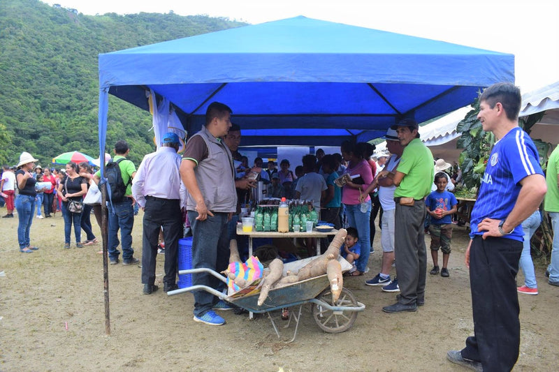 ECUADOR ORGANIC ZAMORA CHINCHIPE FAPECAFES - *51754* - 25441-1 - GrainPro Bags - SPOT RCWHSE