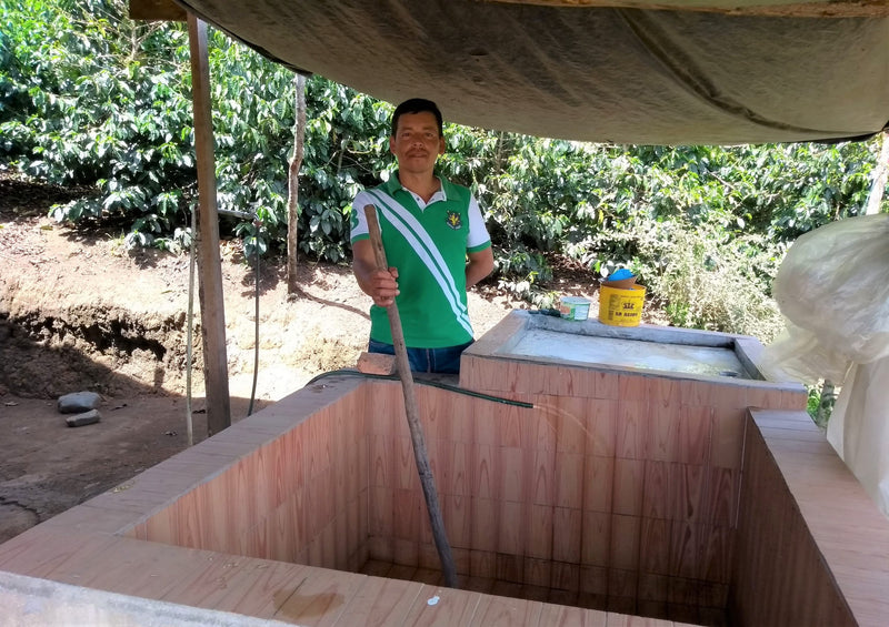 Colombia Cauca El Tambo AA - *51424* - 24956 - GrainPro Bags - SPOT RCWHSE