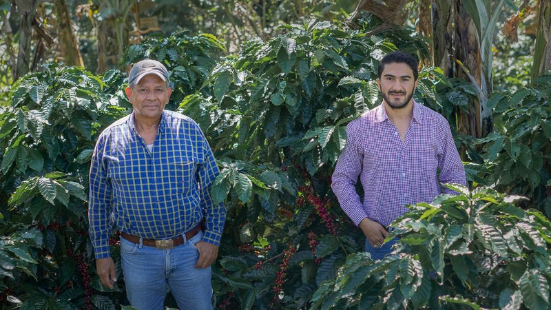 Guatemala Fraijanes Finca El Carmen - *50743* - 25588 - GrainPro Bags - SPOT RCWHSE