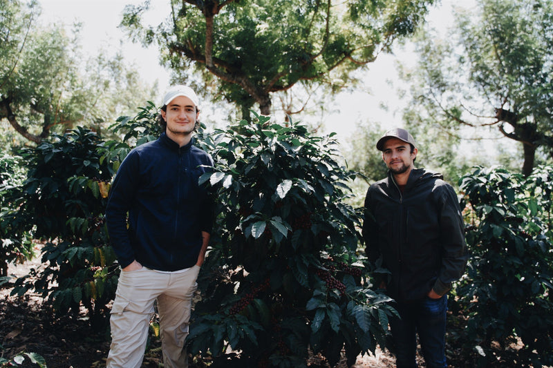 Guatemala RFA Genuine Antigua Finca El Tempixque Natural - 31733 - Ecotact Bags - SPOT RCWHSE