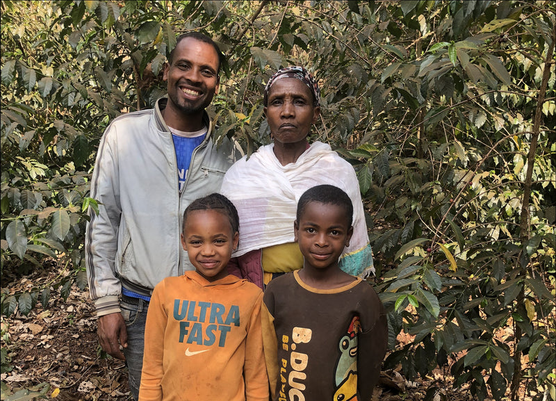 ETHIOPIA YIRGACHEFFE 1 NATURAL ORGANIC BOGALECH MUDA - 36394 - GrainPro Bags - SPOT RCWHSE