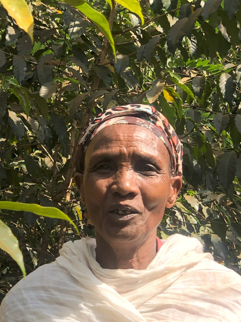 ETHIOPIA YIRGACHEFFE 1 NATURAL ORGANIC BOGALECH MUDA - 36394 - GrainPro Bags - SPOT RCWHSE