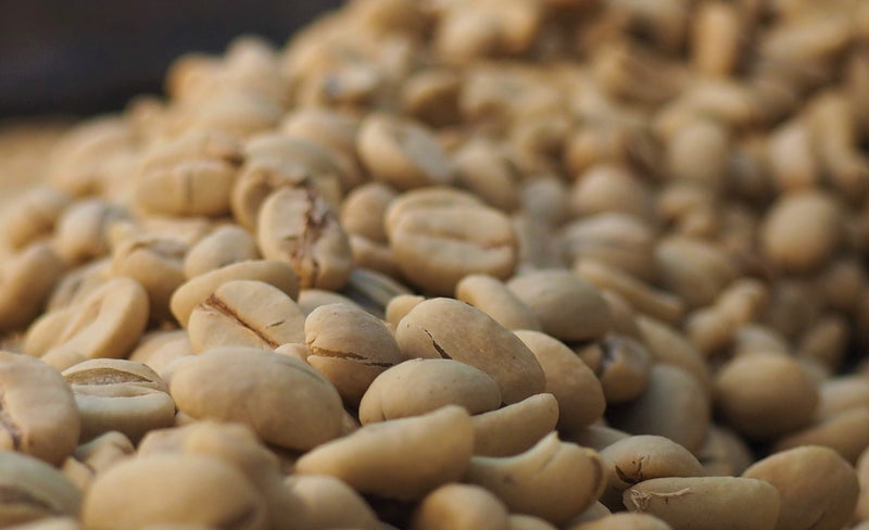Ethiopia Yirgacheffe 1 Washed Idido Ajere - 28150 - GrainPro Bags - SPOT COSEATAC