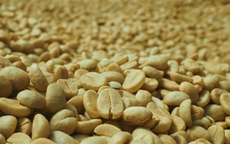 Ethiopia Yirgacheffe 1 Washed Kochere Aramo - 28152-3 - GrainPro Bags - SPOT RCWHSE