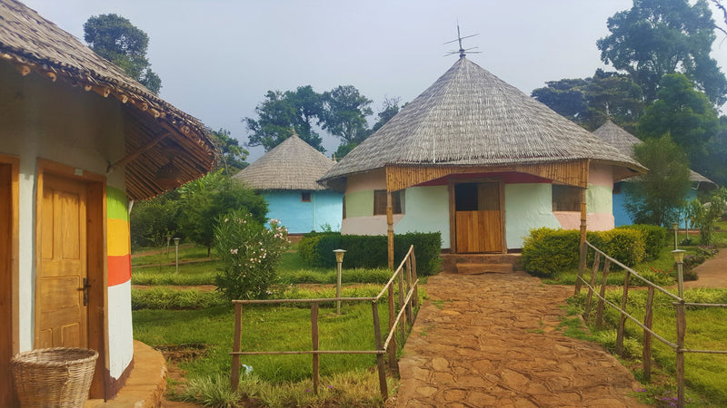 ETHIOPIA YIRGACHEFFE GEDEB 1 WASHED ORGANIC HARTUME - 116 - 28454 - GrainPro Bags - SPOT RCWHSE