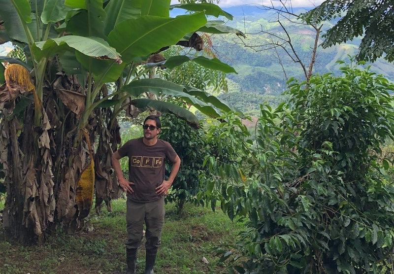 Ecuador Pichincha Verena Stagg Finca Meridiano Typica - *51804* - 27274 - 69.0 kg GrainPro Bags - SPOT RCWHSE