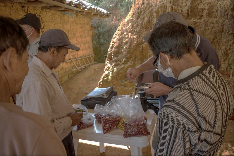 Ecuador Loja Blend 85+ - *51755* - 25440-1 - 69.0 kg GrainPro Bags - SPOT RCWHSE