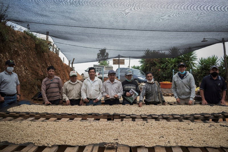 Ecuador Loja Blend 85+ - *51755* - 25440-1 - 69.0 kg GrainPro Bags - SPOT RCWHSE