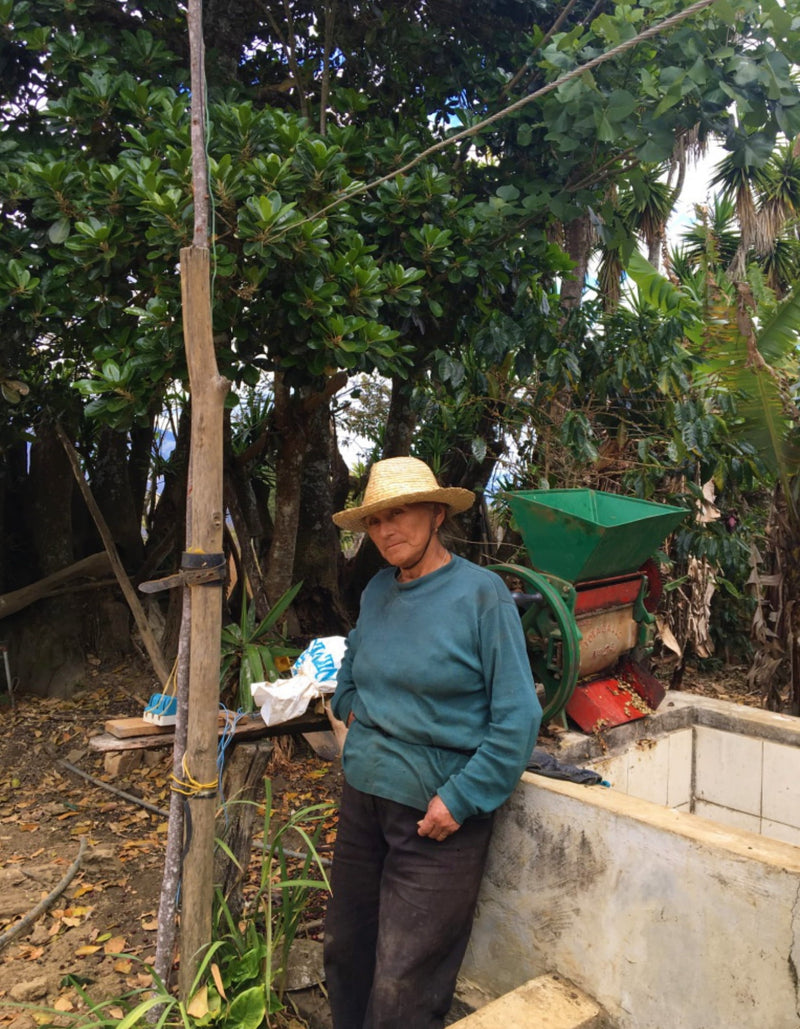 Ecuador Loja Ruth Gualan Honey Caturra - 29997 - GrainPro Bags - SPOT RCWHSE