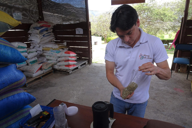 Crown Jewel Ecuador Saraguro Juan Peña Anaerobic Natural - *CJ1465* - 27126 - SPOT RCWHSE