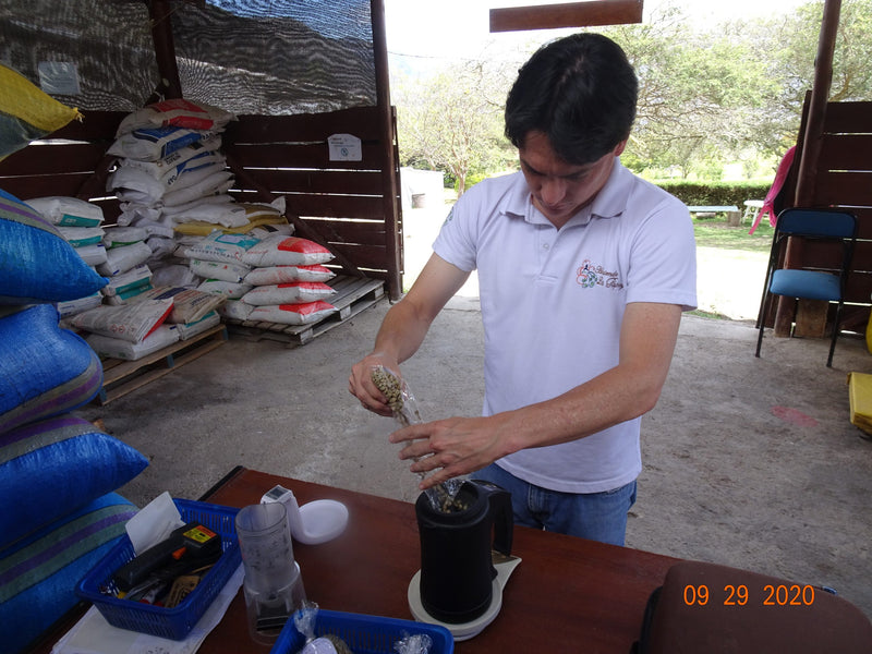 Ecuador Loja Saraguro Hacienda La Papaya Washed Typica - 30032 - 25.0 kg Boxes - SPOT RCWHSE
