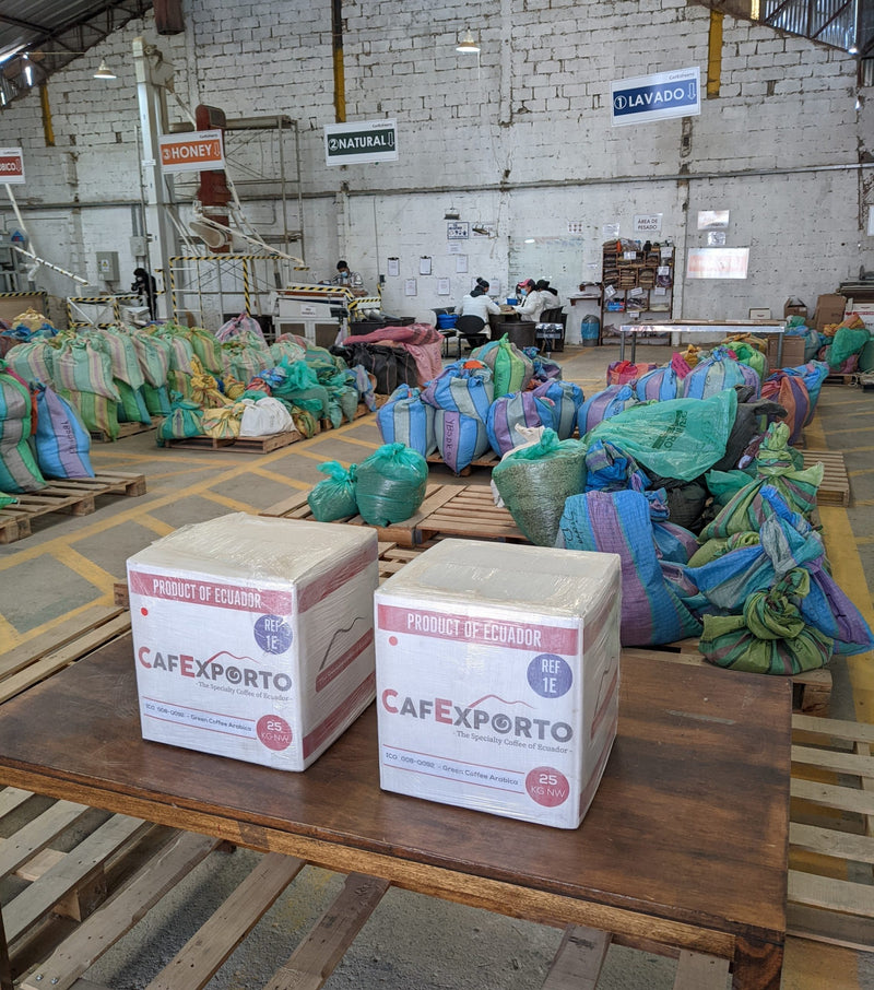 Ecuador Loja Saraguro Hacienda La Papaya Washed Typica - 30032-2 - 25.0 kg Boxes - SPOT RCWHSE