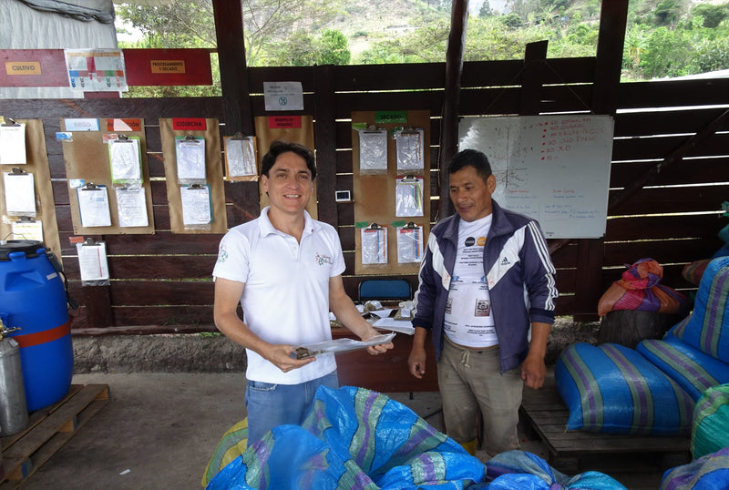 Ecuador Loja Saraguro Hacienda La Papaya Oak Barrel Natural Typica - 30033 - 25.0 kg Boxes - SPOT RCWHSE