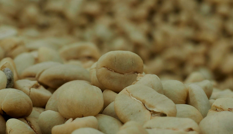 ETHIOPIA SIDAMA 2 WASHED FT-FLO/USA ORGANIC BUNA BOKA - *50702* - 24914 - Ecotact Bags - SPOT RCWHSE