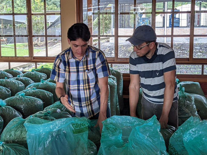Ecuador Farmgate Morona Santiago Juan Peña Presents Taisha Blend - *51964* - 27280-2 - 25.0 kg Box/Vacuum Pack - SPOT RCWHSE
