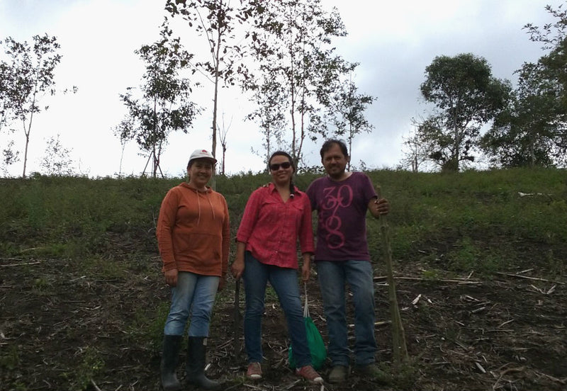 Ecuador Pichincha Galo Morales Cruz Loma Honey Caturra - *51802* - 27277-1 - 69.0 kg GrainPro Bags - SPOT RCWHSE