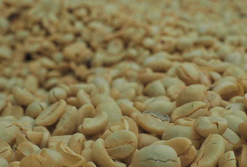 Tanzania Ngorongoro Edelweiss Estate Peaberry - 33228 - GrainPro Bags - SPOT RCWHSE
