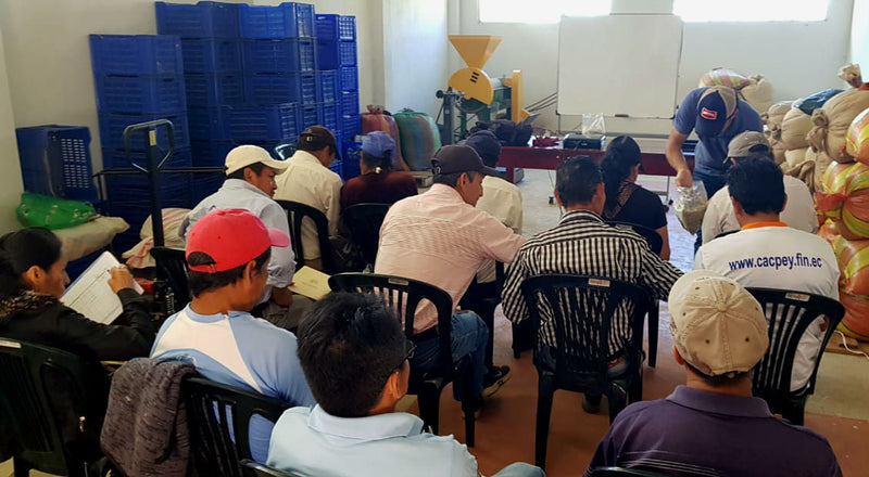 Ecuador Loja Protected Designation Of Origin Project - *46198C* - 25160 - 69.0 kg GrainPro Bags - SPOT SHANGHAI