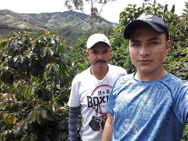 Colombia Huila Buena Vista Natural - *51677* - 25635 - 70.3 kg GrainPro Bags - SPOT RCWHSE