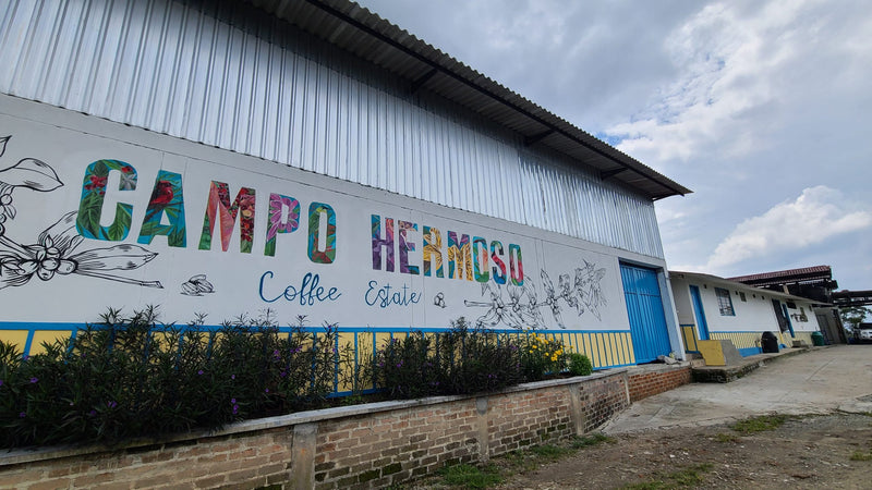 Colombia Quindio Mango Cocoa Rush Black Honey - 38870 - 70.2 kg GrainPro Bags - SPOT RCWHSE