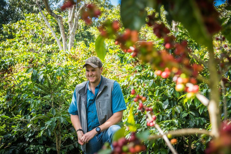 El Salvador La Trinidad Natural - *51288* - 25878 - GrainPro Bags - SPOT RCWHSE R2