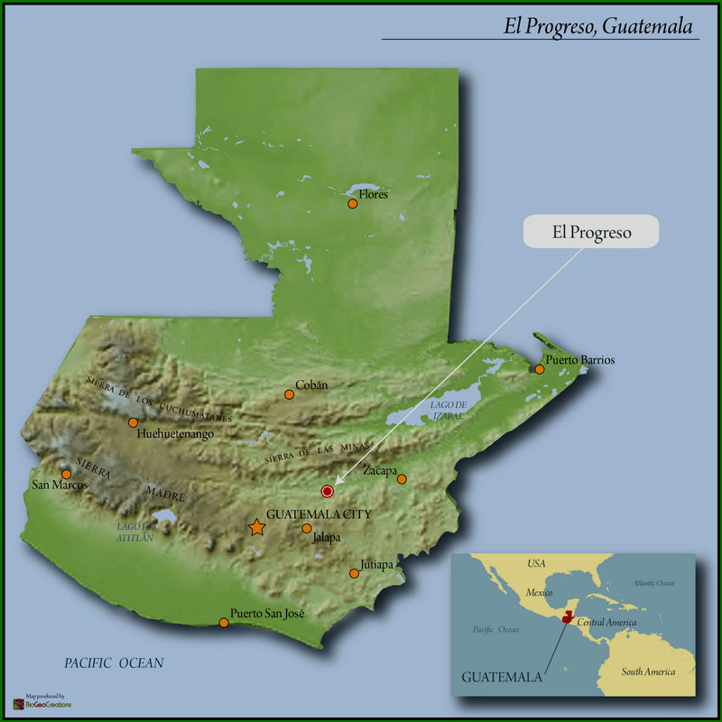 Guatemala San Agustin Finca La Florida Caturra - *50852V* - 24987 - GrainPro Bags - SPOT SEAFORTH