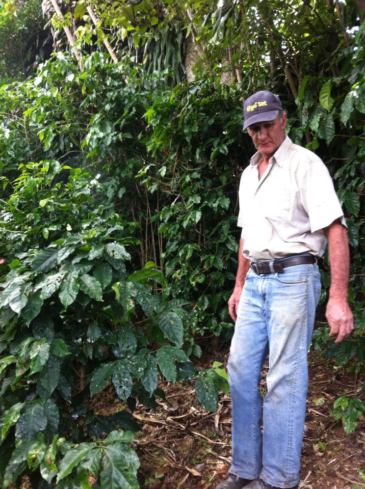 Costa Rica Frailes Finca La Bella Natural Bourbon - *52126* - 27302 - GrainPro Bags - SPOT RCWHSE