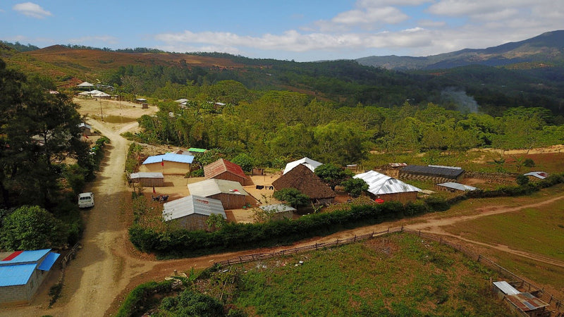 Timor-Leste Ermera Letefoho - 35983 - GrainPro Bags - SPOT RCWHSE