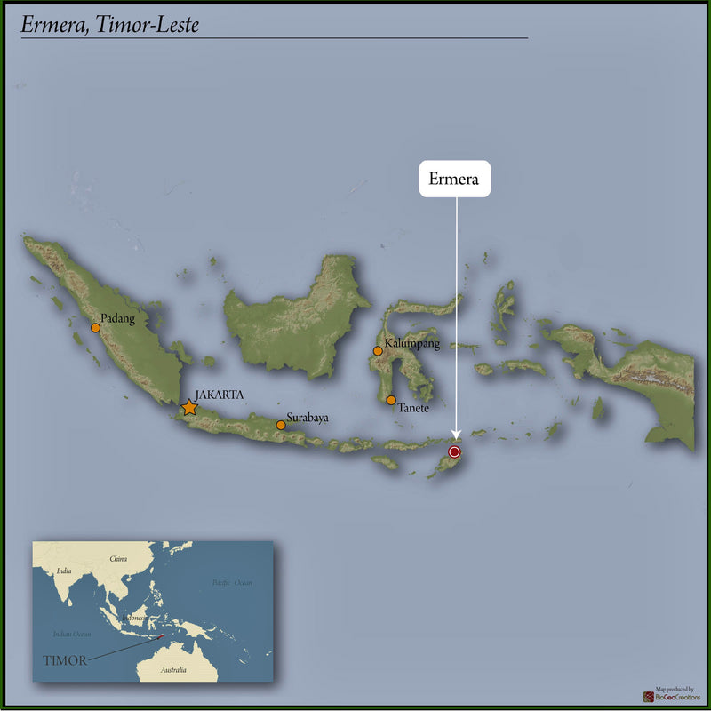 TIMOR LESTE ORGANIC ERMERA ERATOI - *51747* - 25236 - 30.0 kg GrainPro Bags - SPOT DUPUYHOU