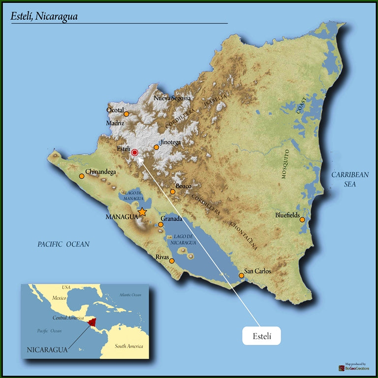 NICARAGUA ORGANIC GRUPO EDEN FINCA TERMOPILAS - *50275* - 23656 - Ecotact Bags - SPOT RCWHSE