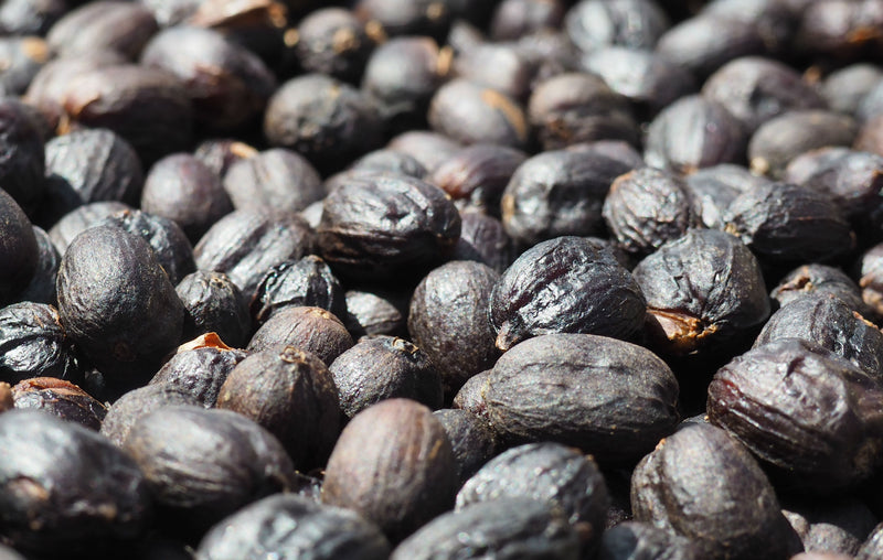Ethiopia Yirgacheffe 1 Natural Worka Marta Alemu - 33743-2 - GrainPro Bags - SPOT SEAFORTH